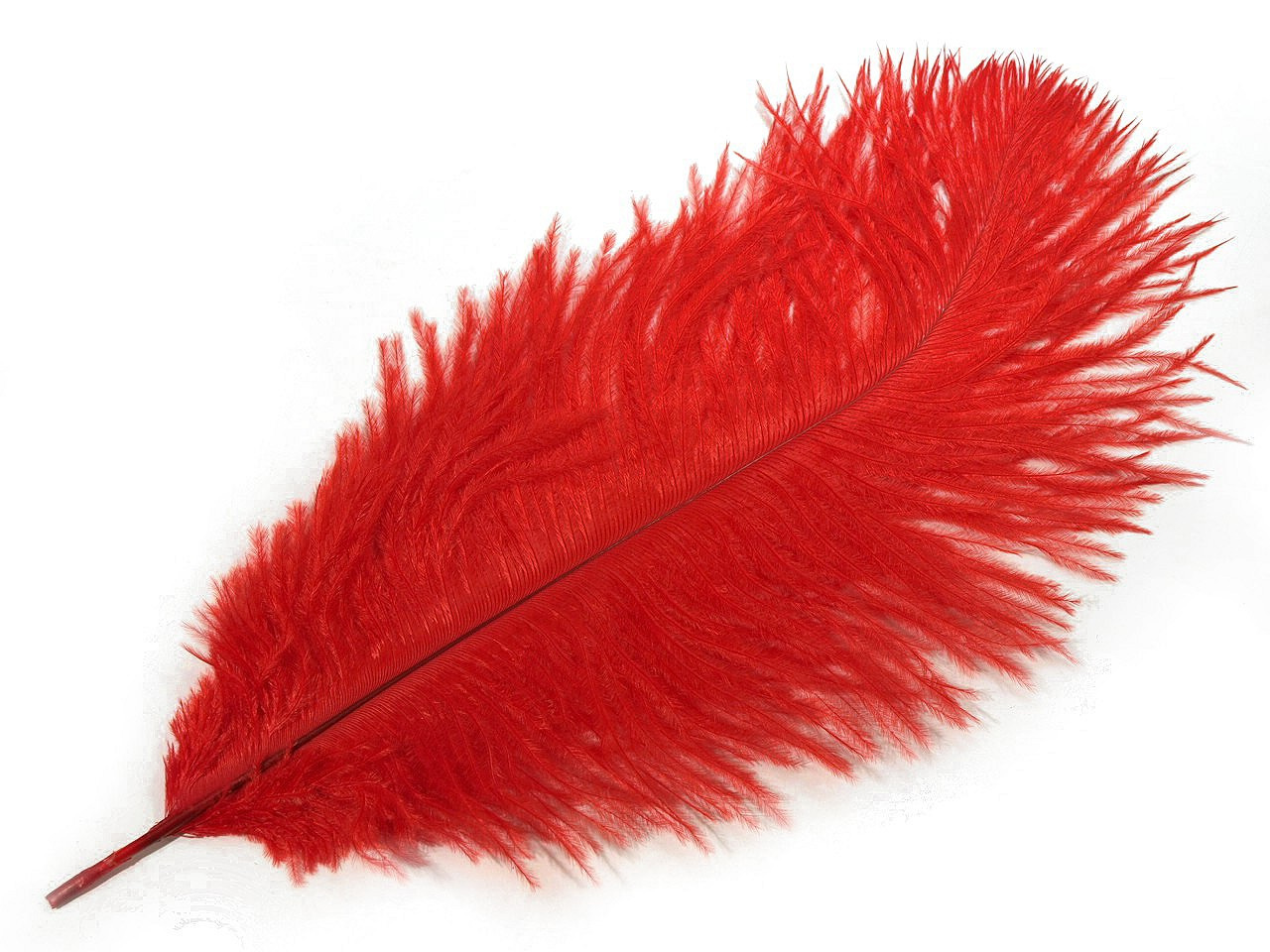 Pštrosí peří délka cca 20-25 cm, barva 4 červená jahoda