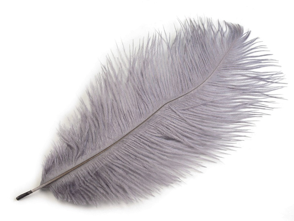 Pštrosí peří délka cca 20-25 cm, barva 11 šedá holubí