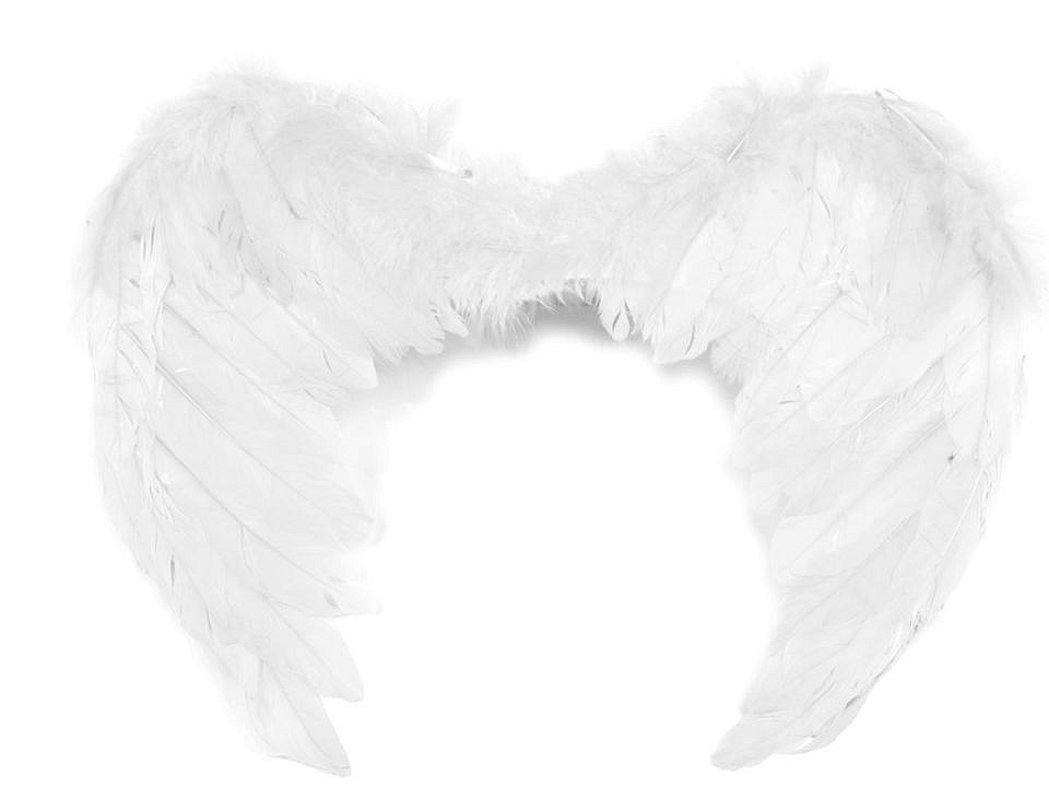Fotografie Andělská křídla 35x45 cm, barva bílá