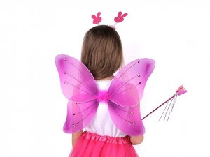 Karnevalový kostým - motýlí víla