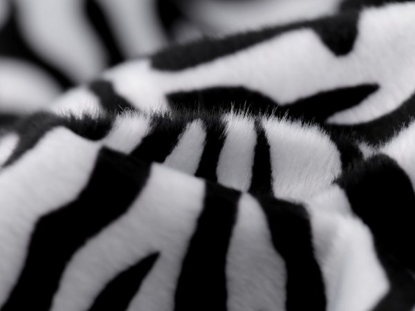 Imitace zvířecí kůže / kožešina zebra